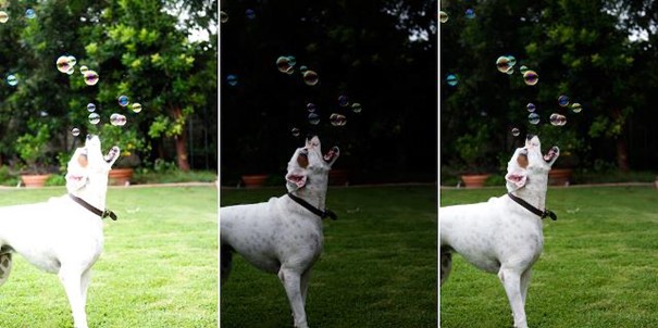 Votre photo ne doit pas être surexposée ni sous-exposée - Val d'Oise Communication